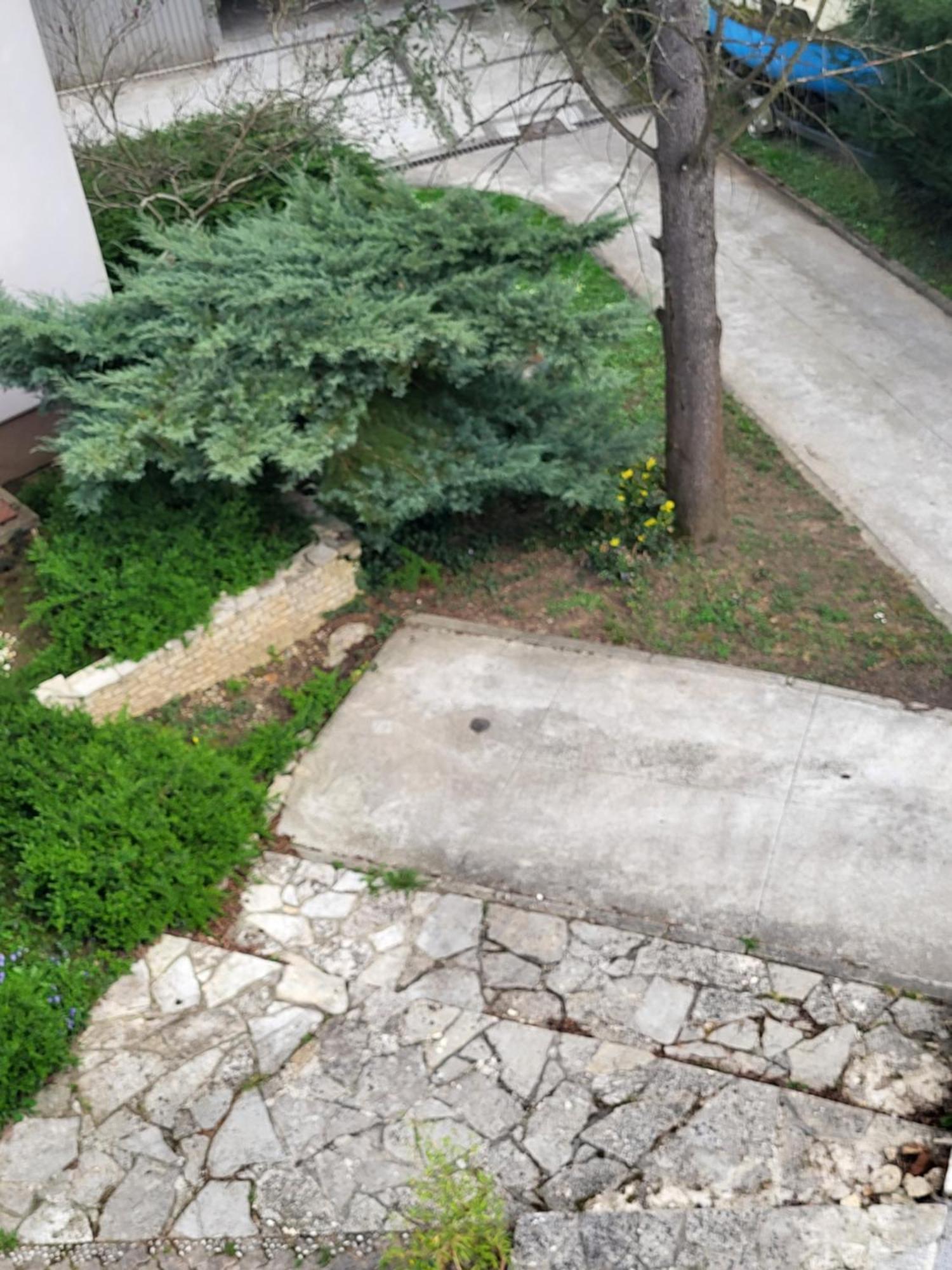 Villa Vino & Grad Zagreb Dış mekan fotoğraf