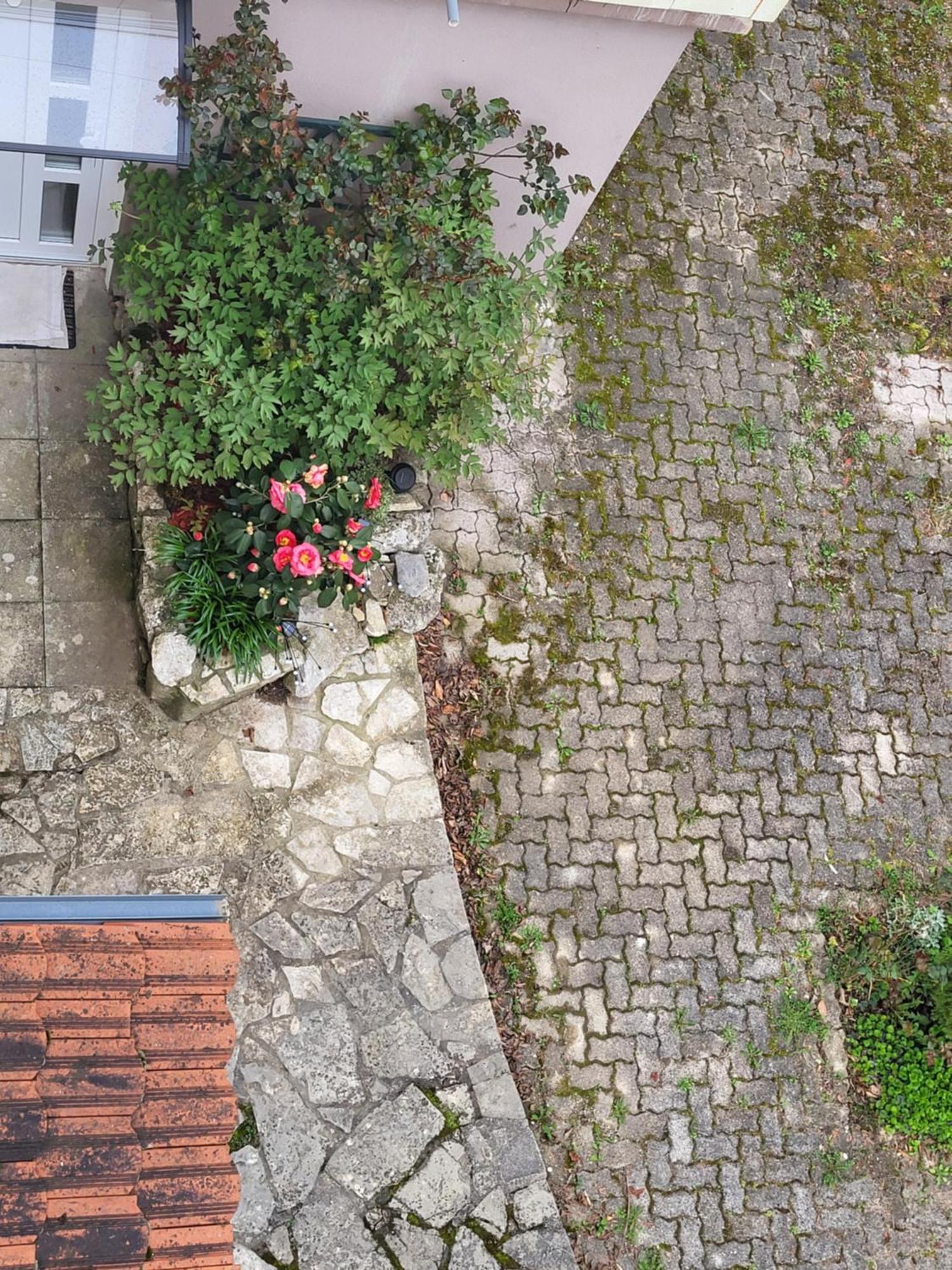 Villa Vino & Grad Zagreb Dış mekan fotoğraf